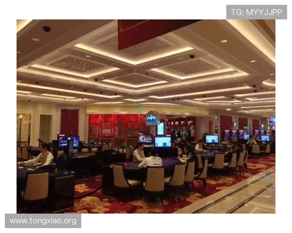 探索银河赌场中的多样游戏玩法与丰富奖励机制，满足不同玩家的娱乐需求