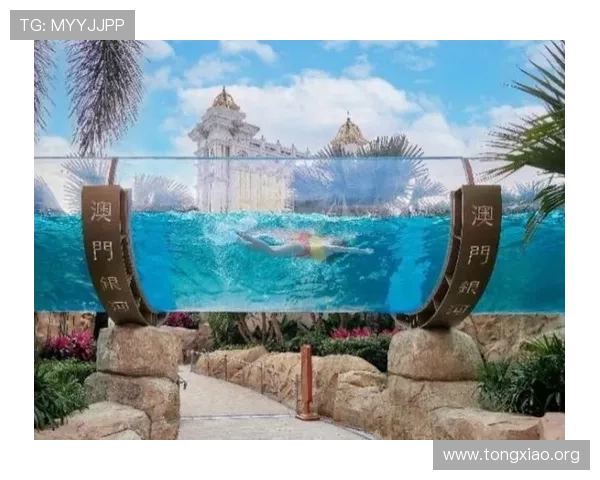 澳门银河娱乐城提供最全面的娱乐体验让您尽享奢华与刺激的完美结合