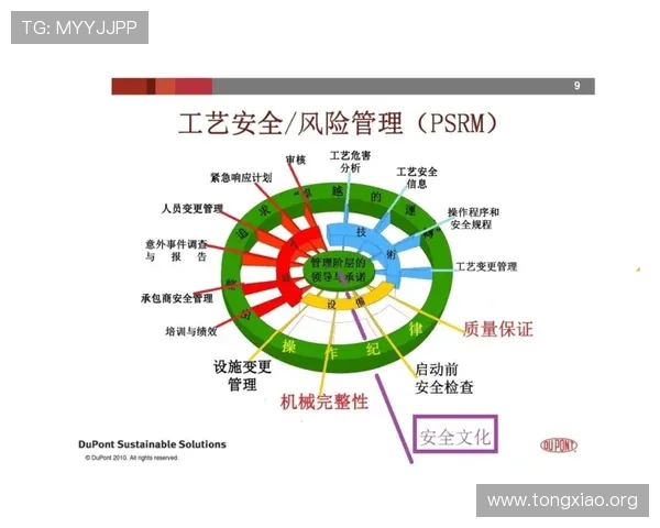 巴黎人手机登录安全保障措施解析确保玩家账号信息安全无忧