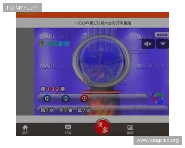 掌握六合彩国际站最新优惠活动与彩金福利,轻松实现高效投注与盈利