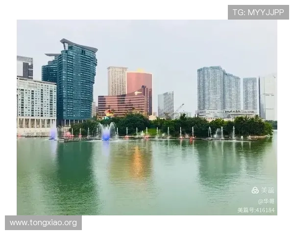 新澳门官方首页提供最权威的澳门官方信息与最新活动公告一站式查询