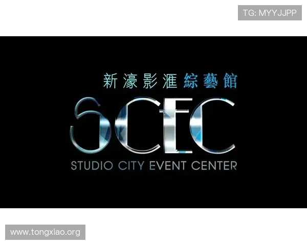 新濠娱乐网支付方式多样化保障玩家资金安全与便捷