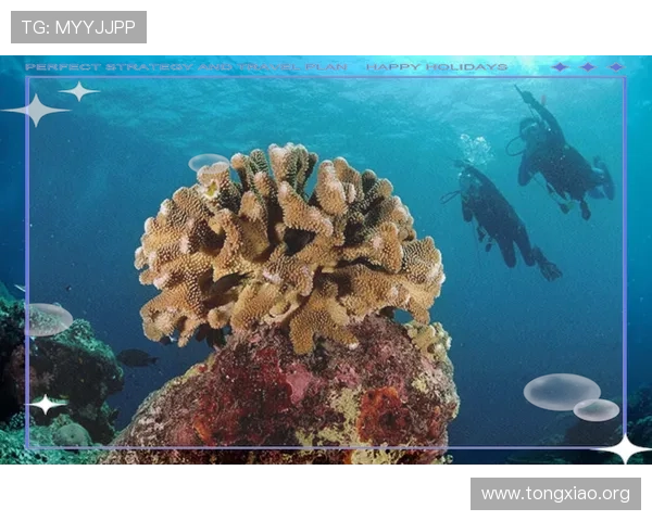 海洋之神官网app最新活动资讯，丰富奖励等你来领取助你称霸海域