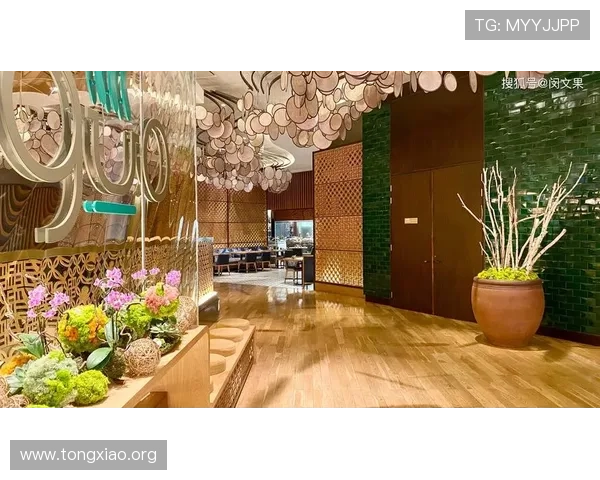 澳门美狮美高梅赌场攻略，助你轻松掌握博彩技巧享受极致娱乐体验