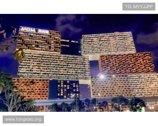 澳门美高美线上线下同步运营,掌握最新玩法和优惠信息提升游戏体验 澳门美高美线上线下同步运营,掌握最新玩法和优惠信息提升游戏体验