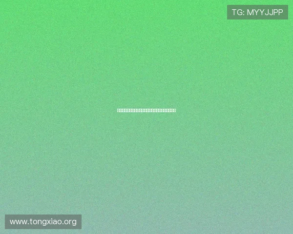 新西兰对阵埃及比赛球员评分详细分析与赛后表现点评
